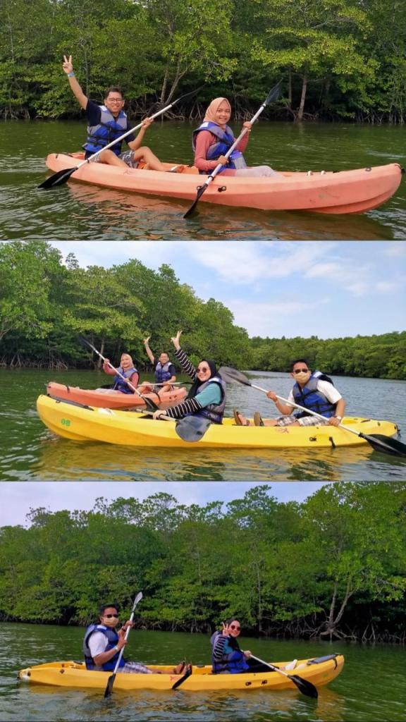 Mangrove Tour Kayaking
