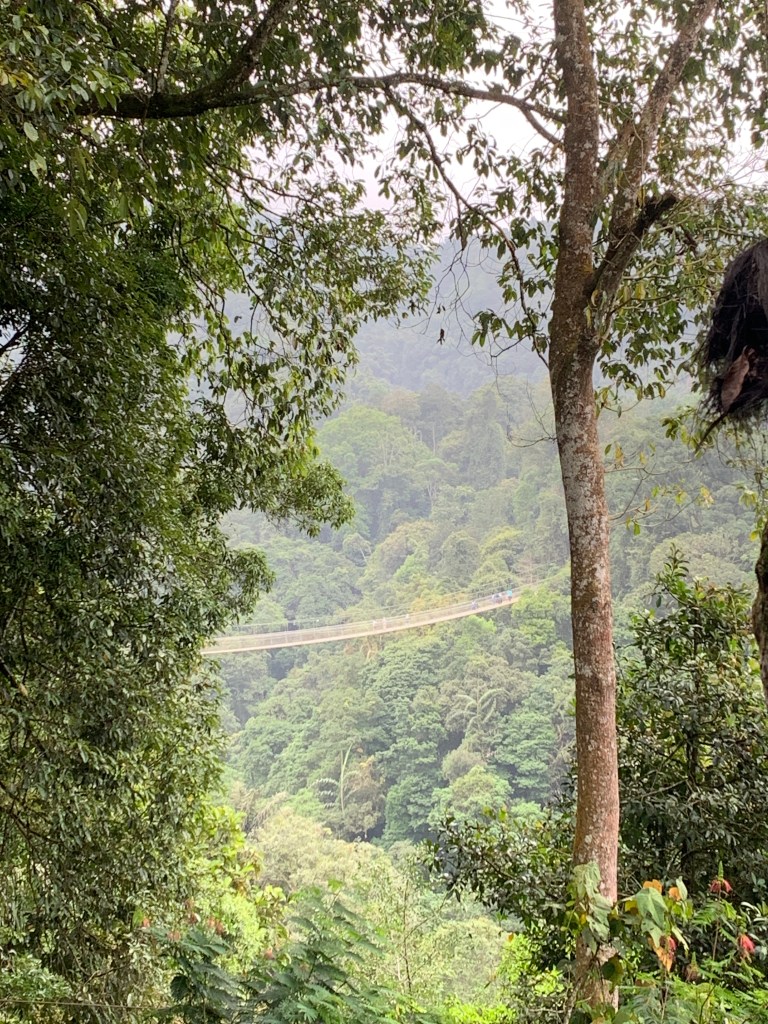 Jembatan Situ Gunung