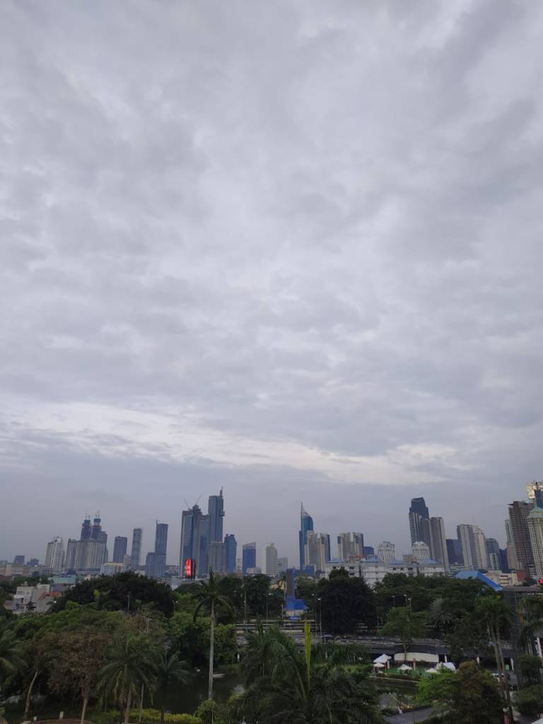 View Kota Jakarta dari Senayan Park