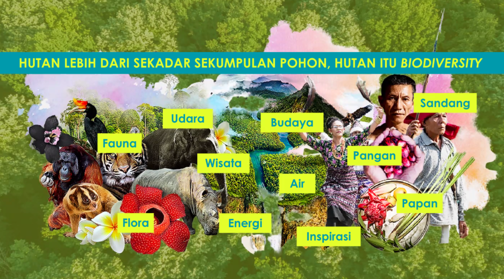 Fungsi Hutan - www.jastitahn.com
