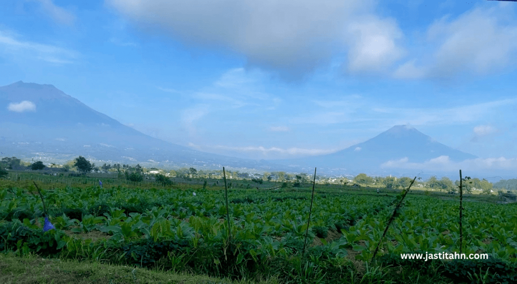 Gunung Kembar, Sumbing & Sindoro - www.jastitahn.com
