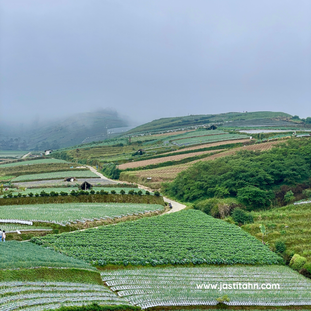 Negeri_Sayur_Sukomakmur - www.jastitahn.com