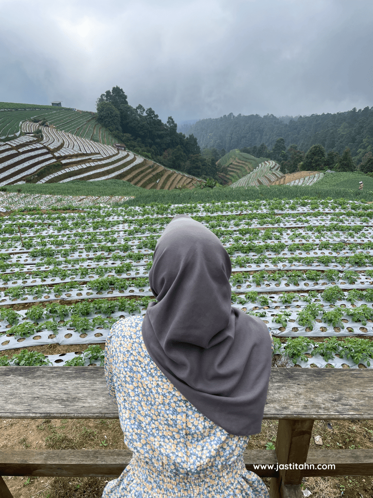 Negeri_Sayur_Sukomakmur - www.jastitahn.com