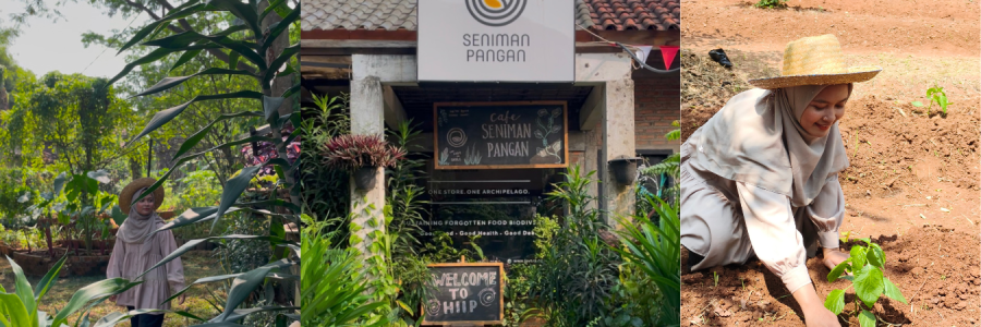 berkebun di seniman pangan