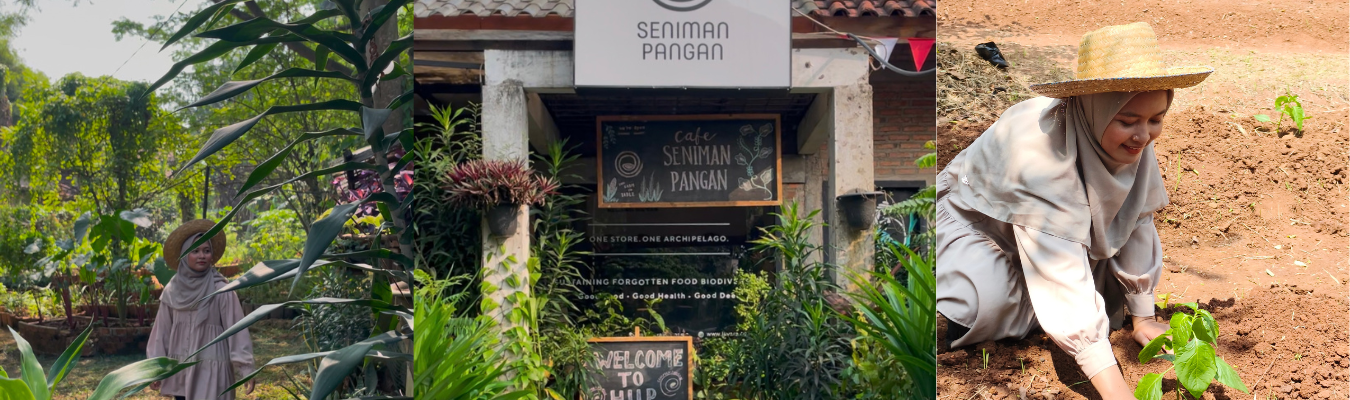 berkebun di seniman pangan